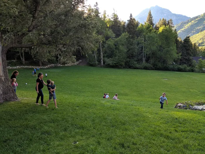 Mutual Dell Campsite Picture 1