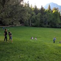 Mutual Dell Campsite ico