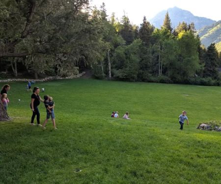 Mutual Dell Campsite