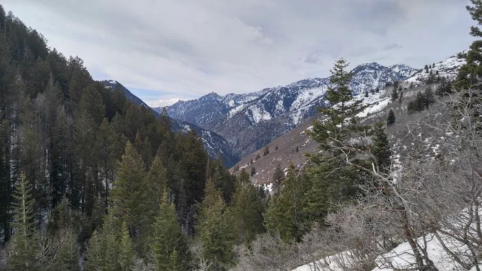 Mutual Dell Campsite Picture 3