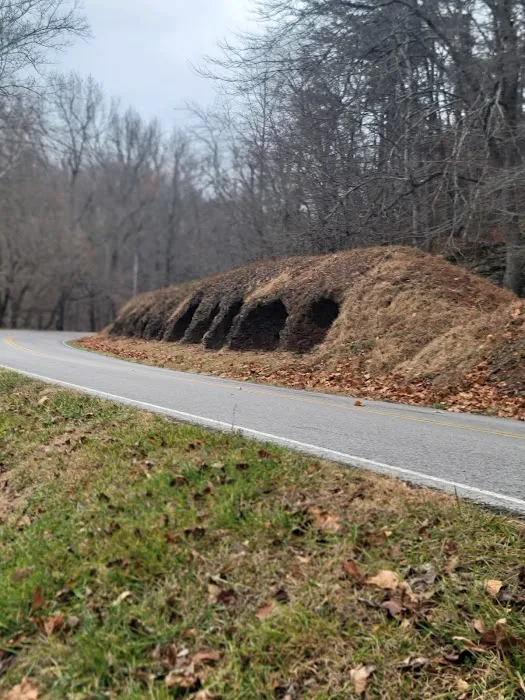 Mutual Dell Recreation Camp Picture 1