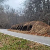 Mutual Dell Recreation Camp ico