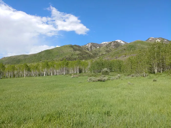 Little Deer Creek Campground Picture 2