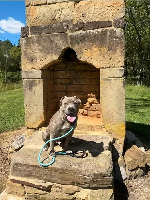 Old Chimney RV Park Picture 3