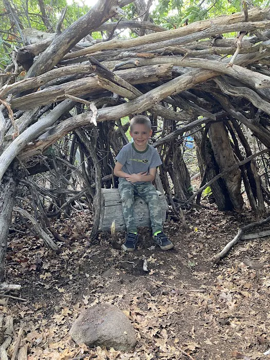 Springer Hollow Group Campsite Picture 3