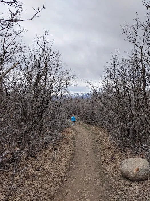 Springer Hollow Group Campsite Picture 4