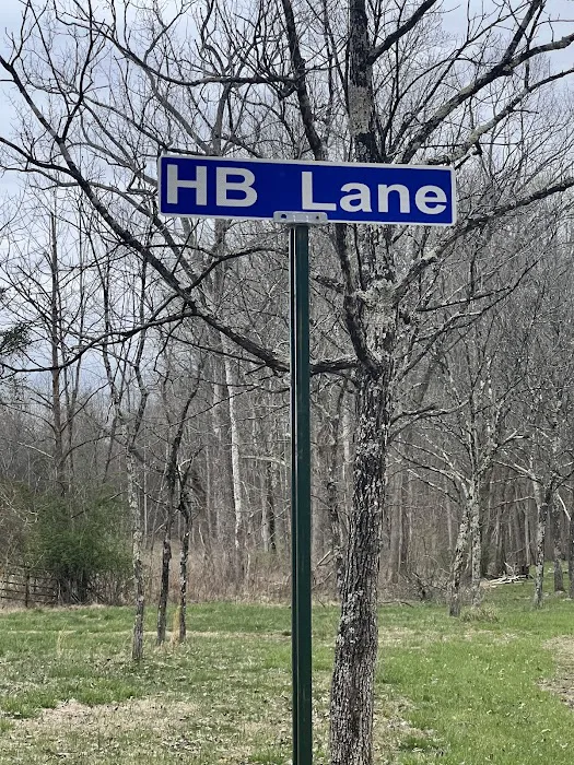 Wolf Creek RV Park Picture 8