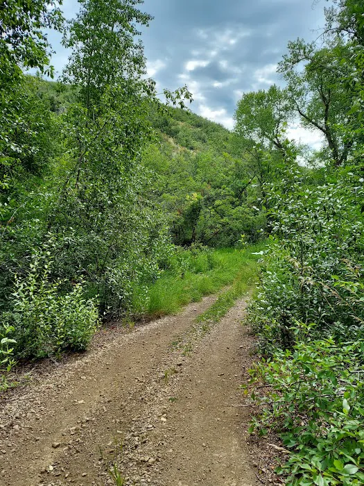 Pine Creek Campground Picture 9