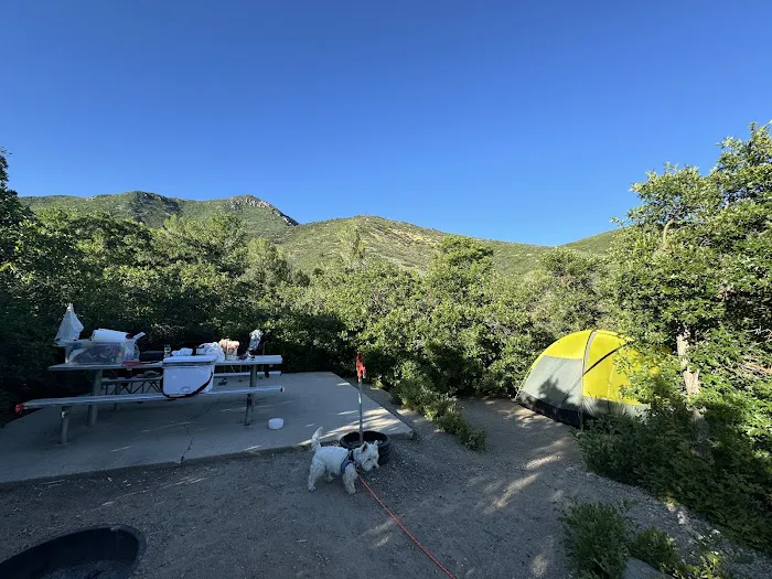 Pine Creek Campground Picture 10