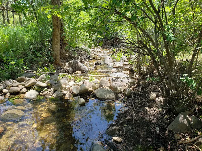 Pine Creek Campground Picture 7