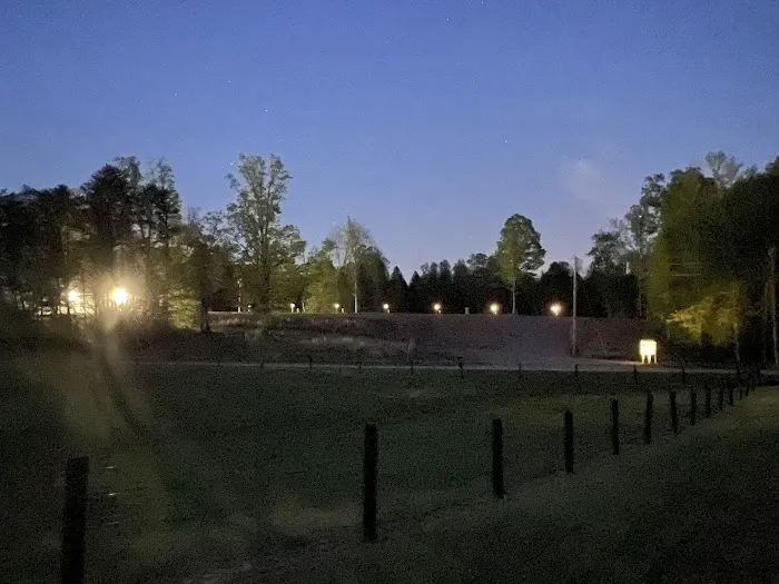 Forest Lake Camping Area Picture 5