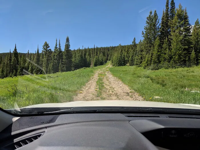 Forest Lake Camping Area Picture 7