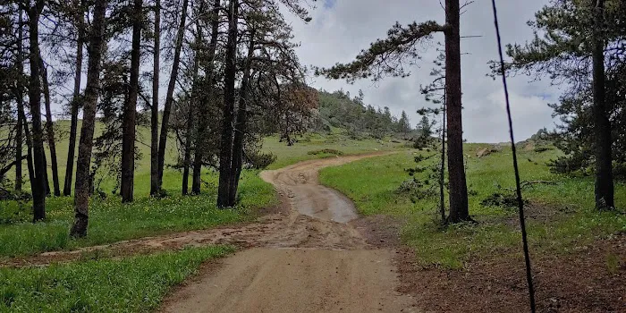 Little Goose Campground Picture 2