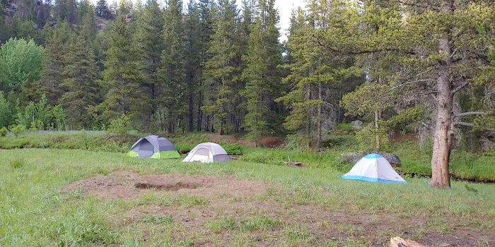 Little Goose Campground Picture 4