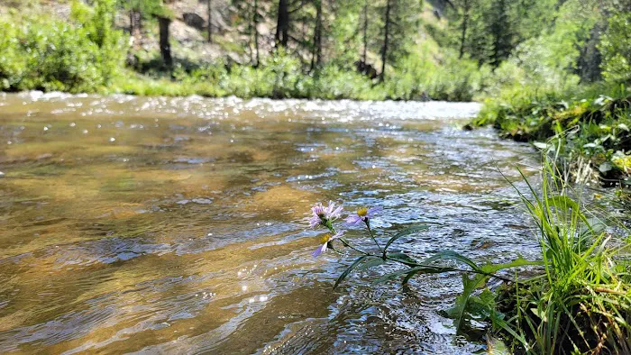 Little Goose Campground Picture 1