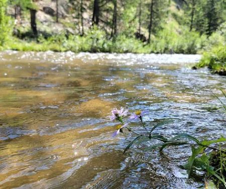 Little Goose Campground
