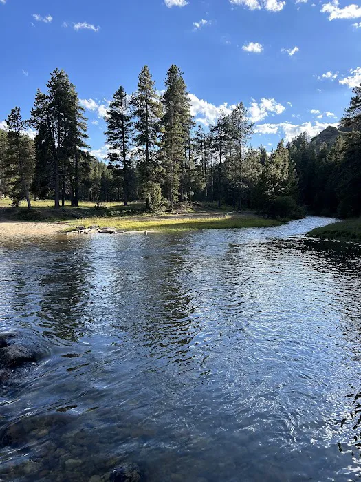 Little Goose Campground Picture 7