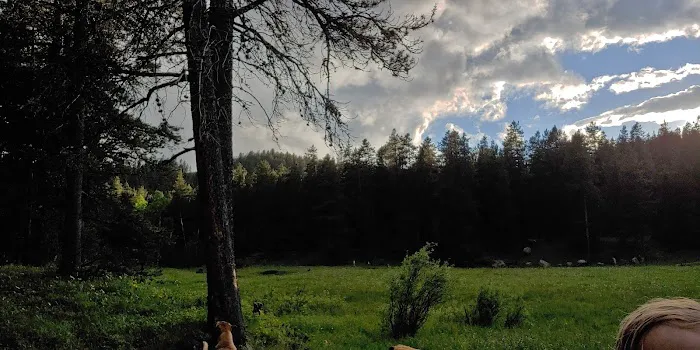 Little Goose Campground Picture 5