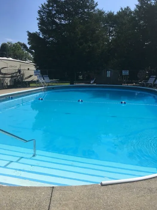 Pine Crest RV Park & Resort Picture 5