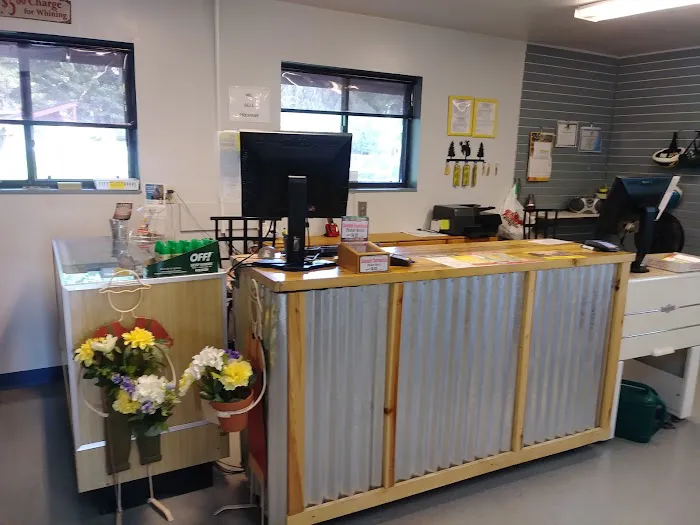 Sheridan / Big Horn Mountains KOA Journey Picture 9