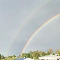 Wolf Creek Resort Park ico