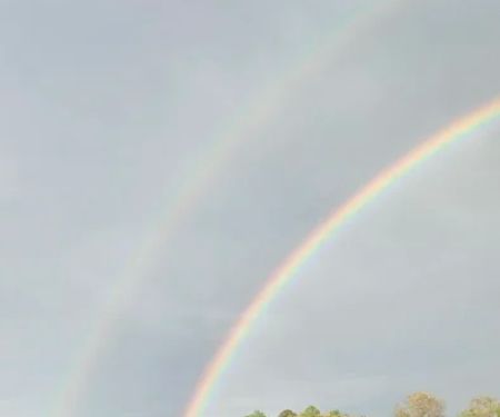 Wolf Creek Resort Park