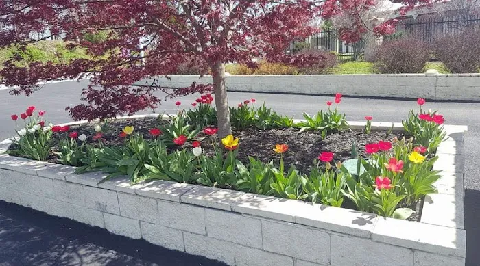 Wolf Creek Resort Park Picture 3