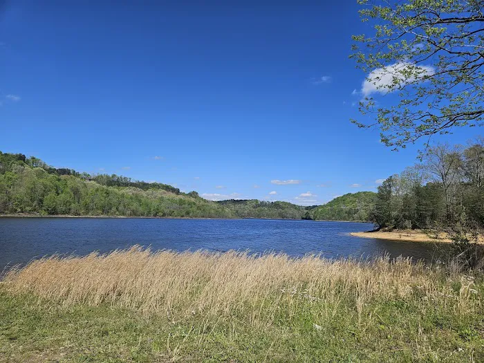 Wolf Creek Village Picture 3