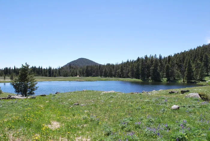 Medicine Lodge Lake Campground Picture 8