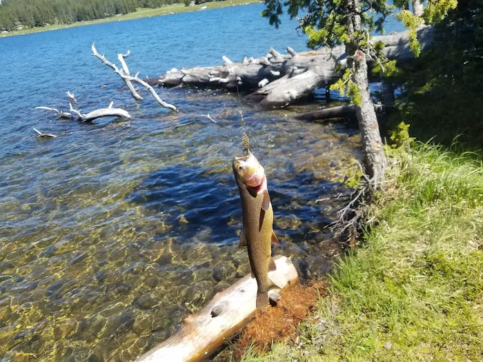 Medicine Lodge Lake Campground Picture 1
