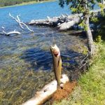 Medicine Lodge Lake Campground