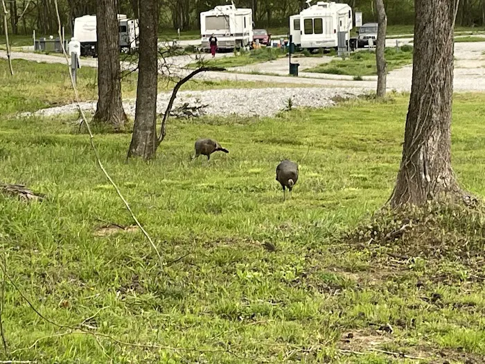 Cumberland Valley RV Ranch Picture 2
