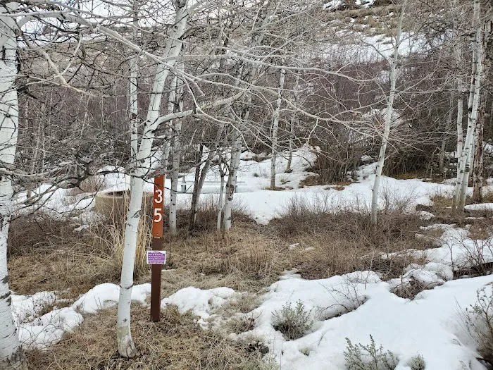 Rock Cliff Campground Picture 1