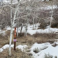 Rock Cliff Campground ico