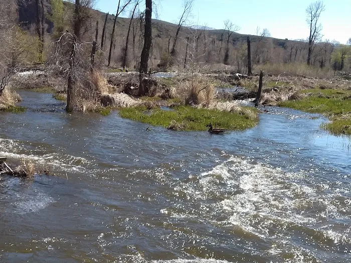 Rock Cliff Campground Picture 8