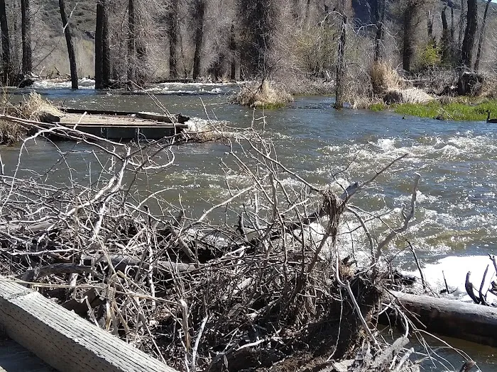 Rock Cliff Campground Picture 10