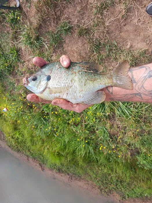 Pelham RV Park Picture 5