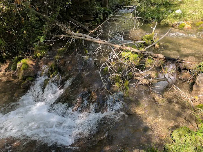 Ophir Campgrounds Picture 2