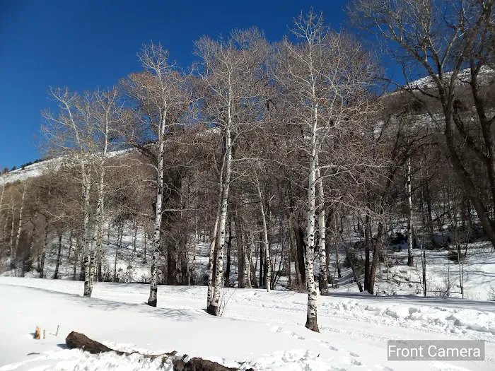 Ophir Campgrounds Picture 8