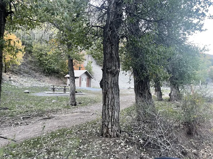 Ophir Campgrounds Picture 5