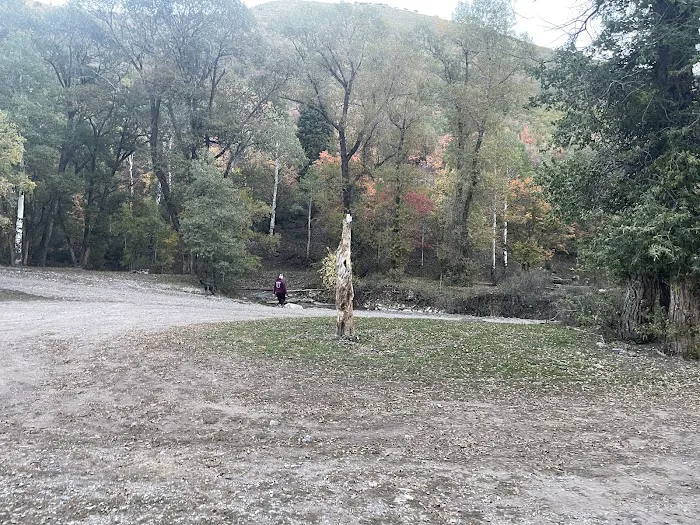 Ophir Campgrounds Picture 4