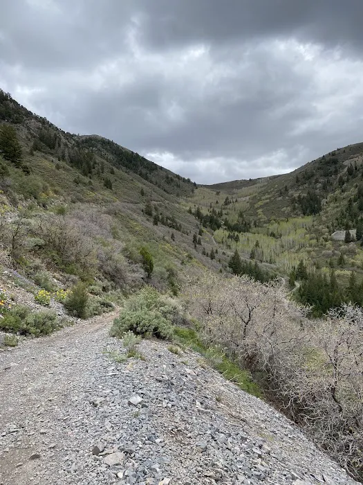 Ophir Campgrounds Picture 6