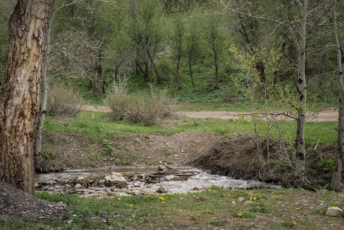 Ophir Campgrounds Picture 9