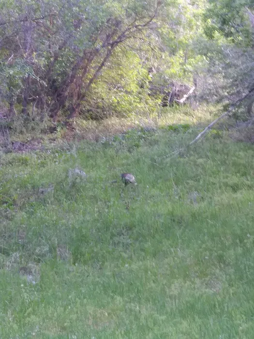 Ophir Canyon Educational Center Picture 3