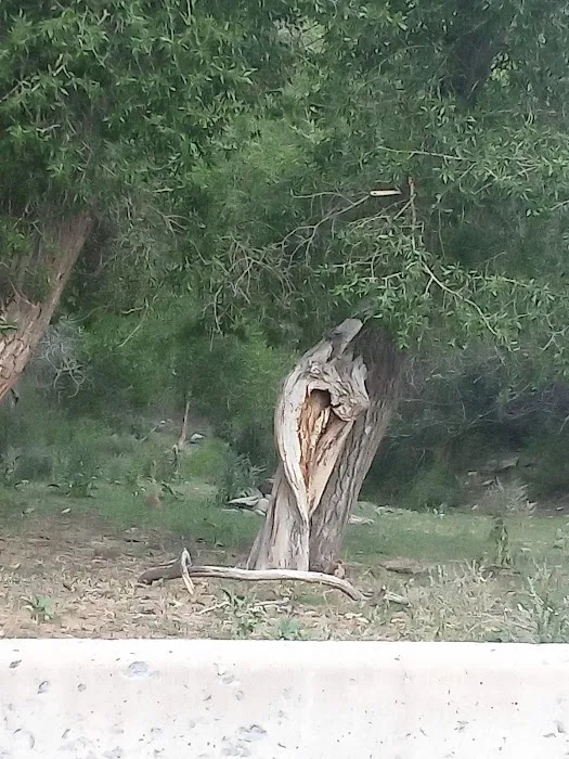 Ophir Canyon Educational Center Picture 6