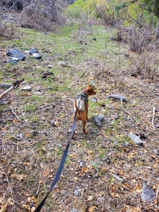 Ophir Canyon Educational Center Picture 4