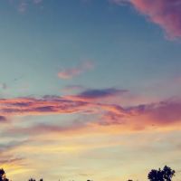 Widows Creek RV Park & Cabins ico