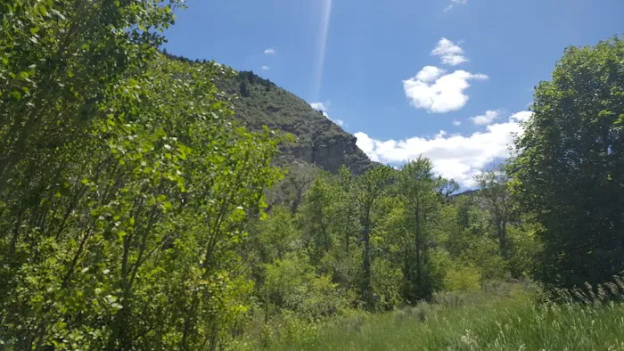 Cottonwood Campground Picture 2