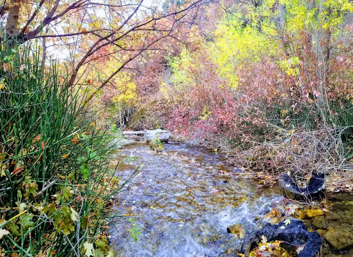 Cottonwood Campground Picture 5