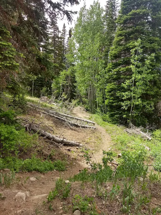 Cottonwood Campground Picture 1